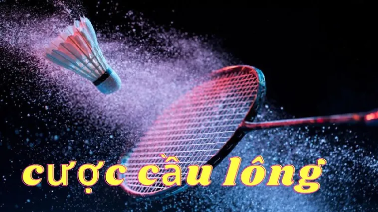 Hướng Dẫn Cá Cược Cầu Lông Tại KingFun Chi Tiết Cho Người Mới 2 Hướng Dẫn Cá Cược Cầu Lông Tại KingFun Chi Tiết Cho Người Mới