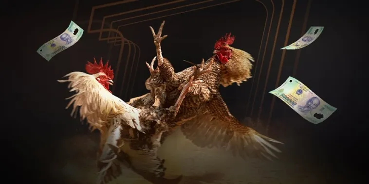 Đá Gà KingFun Đấu Trường Rực Lửa Cho Các Kê Thủ Đẳng Cấp