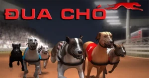 Cách Chơi Game Nhanh Đua Chó Tại KingFun Thắng Lớn Bất Ngờ 6 Cách Chơi Game Nhanh Đua Chó Tại KingFun Thắng Lớn Bất Ngờ